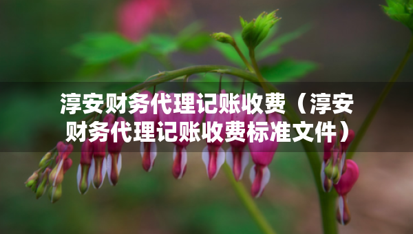 淳安財(cái)務(wù)代理記賬收費(fèi)（淳安財(cái)務(wù)代理記賬收費(fèi)標(biāo)準(zhǔn)文件）