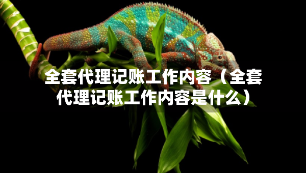 全套代理記賬工作內(nèi)容（全套代理記賬工作內(nèi)容是什么）
