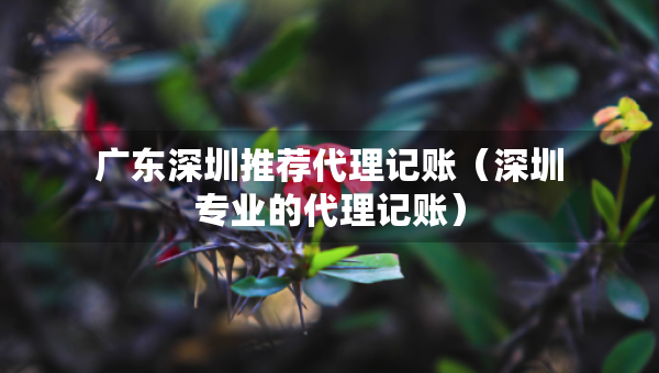 廣東深圳推薦代理記賬（深圳專業(yè)的代理記賬）