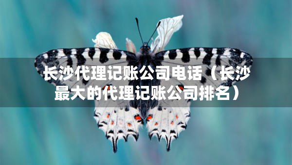 長(zhǎng)沙代理記賬公司電話（長(zhǎng)沙最大的代理記賬公司排名）