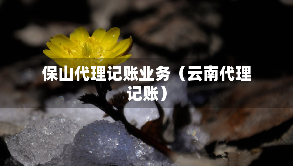 保山代理記賬業(yè)務(wù)（云南代理記賬）