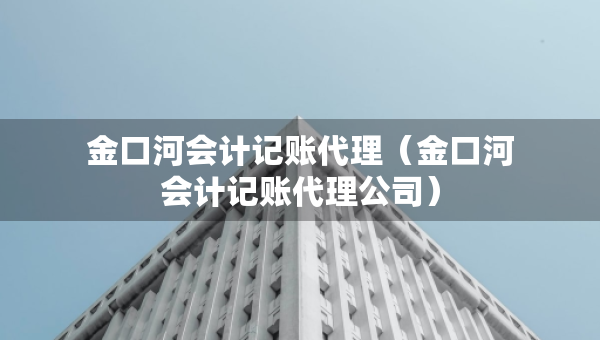 金口河會計記賬代理（金口河會計記賬代理公司）