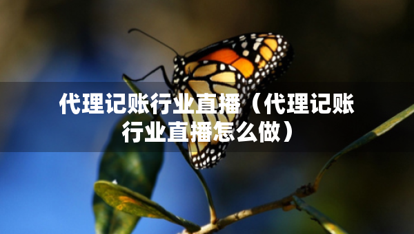 代理記賬行業(yè)直播（代理記賬行業(yè)直播怎么做）