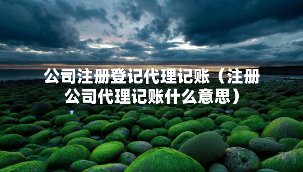 公司注冊(cè)登記代理記賬（注冊(cè)公司代理記賬什么意思）