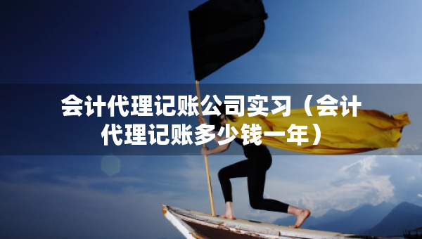 會(huì)計(jì)代理記賬公司實(shí)習(xí)（會(huì)計(jì)代理記賬多少錢一年）