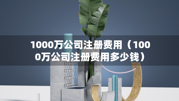 1000萬公司注冊費(fèi)用（1000萬公司注冊費(fèi)用多少錢）