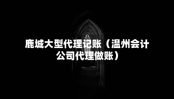 鹿城大型代理記賬（溫州會(huì)計(jì)公司代理做賬）