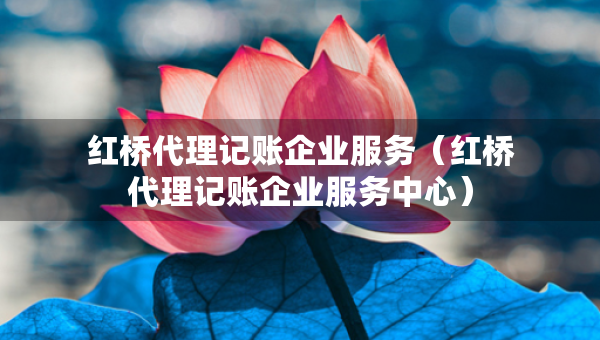 紅橋代理記賬企業(yè)服務(wù)（紅橋代理記賬企業(yè)服務(wù)中心）