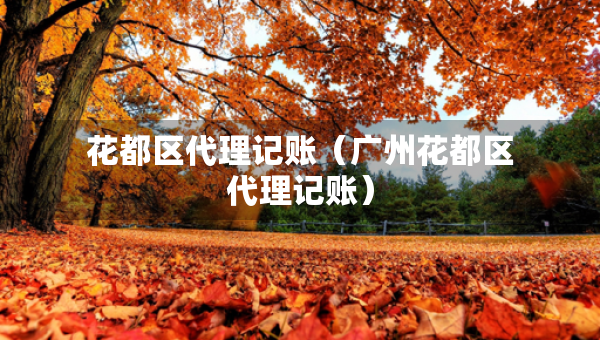 花都區(qū)代理記賬（廣州花都區(qū)代理記賬）