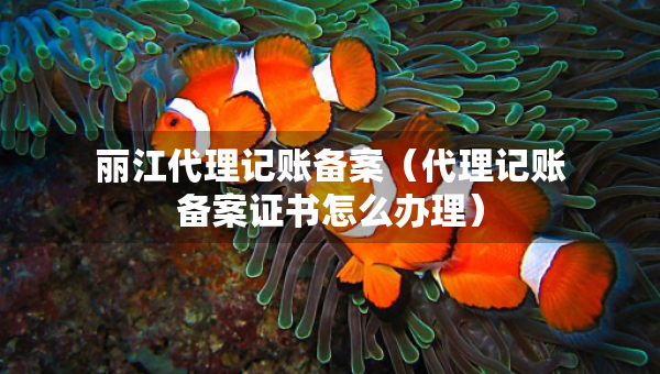 麗江代理記賬備案（代理記賬備案證書怎么辦理）