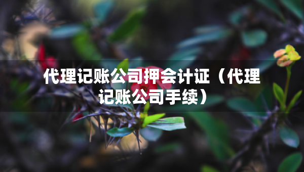 代理記賬公司押會計證（代理記賬公司手續(xù)）