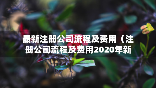 最新注冊(cè)公司流程及費(fèi)用（注冊(cè)公司流程及費(fèi)用2020年新政策）