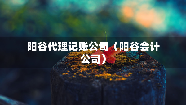 陽(yáng)谷代理記賬公司（陽(yáng)谷會(huì)計(jì)公司）