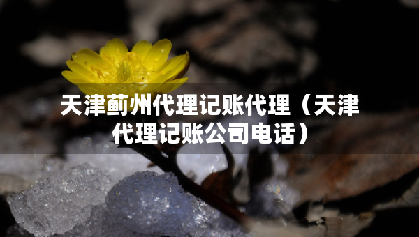 天津薊州代理記賬代理（天津代理記賬公司電話）