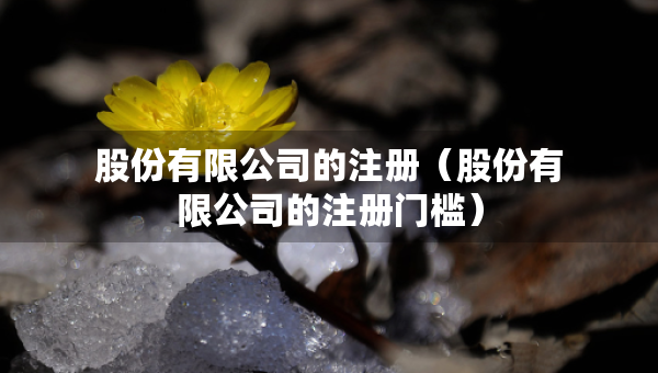 股份有限公司的注冊(cè)（股份有限公司的注冊(cè)門(mén)檻）