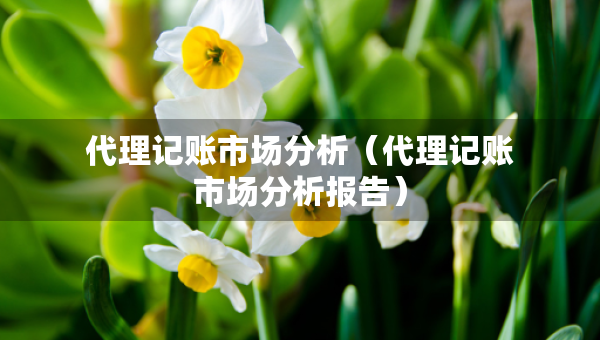 代理記賬市場(chǎng)分析（代理記賬市場(chǎng)分析報(bào)告）