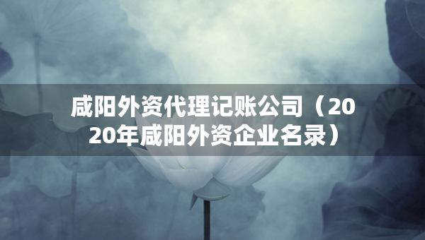 咸陽外資代理記賬公司（2020年咸陽外資企業(yè)名錄）