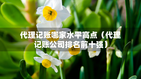 代理記賬哪家水平高點(diǎn)（代理記賬公司排名前十強(qiáng)）