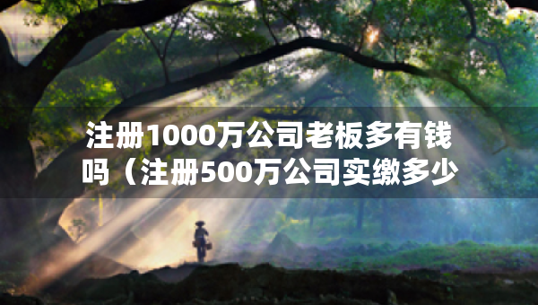 注冊(cè)1000萬(wàn)公司老板多有錢(qián)嗎（注冊(cè)500萬(wàn)公司實(shí)繳多少錢(qián)）