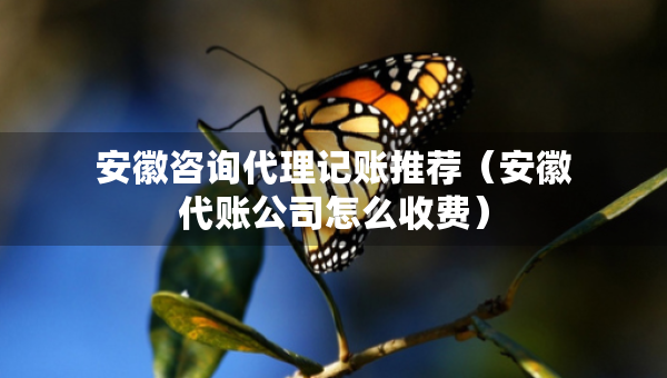 安徽咨詢代理記賬推薦（安徽代賬公司怎么收費）