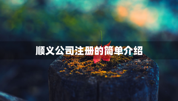 順義公司注冊(cè)的簡單介紹