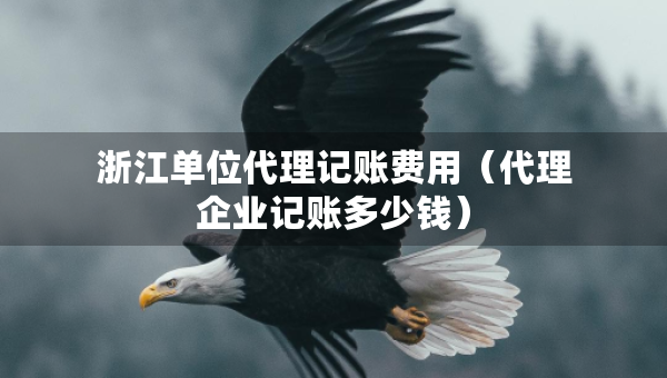 浙江單位代理記賬費(fèi)用（代理企業(yè)記賬多少錢）