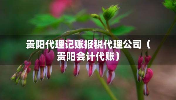 貴陽(yáng)代理記賬報(bào)稅代理公司（貴陽(yáng)會(huì)計(jì)代賬）