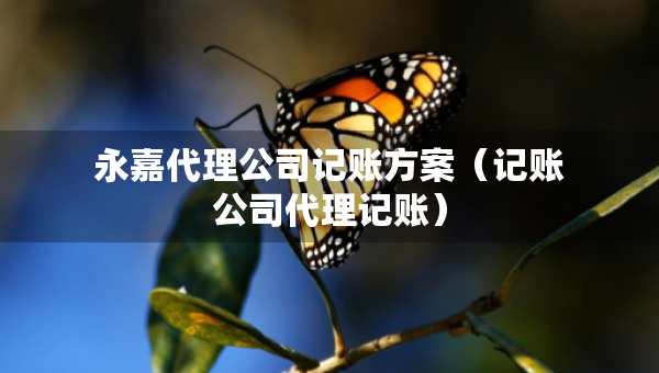 永嘉代理公司記賬方案（記賬公司代理記賬）