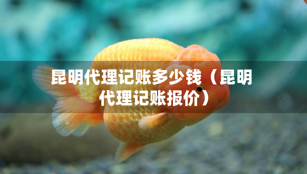 昆明代理記賬多少錢（昆明 代理記賬報價）