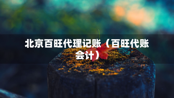 北京百旺代理記賬（百旺代賬會(huì)計(jì)）