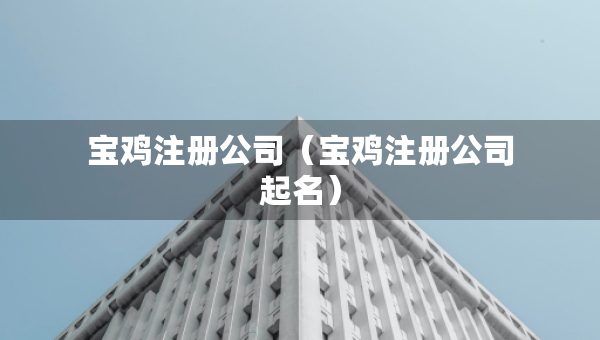 寶雞注冊公司（寶雞注冊公司起名）