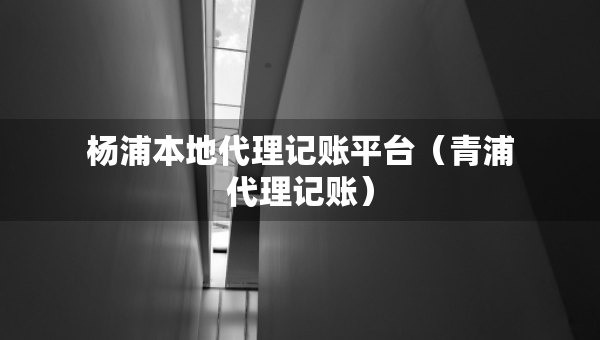 楊浦本地代理記賬平臺（青浦代理記賬）