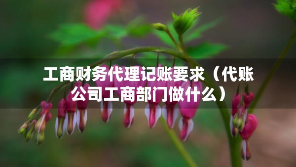 工商財(cái)務(wù)代理記賬要求（代賬公司工商部門做什么）