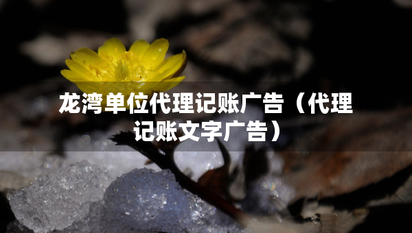 龍灣單位代理記賬廣告（代理記賬文字廣告）