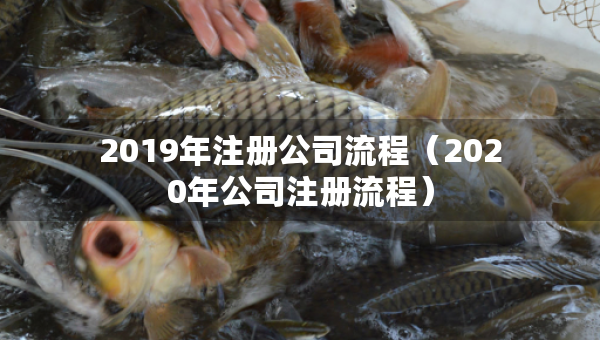 2019年注冊(cè)公司流程（2020年公司注冊(cè)流程）