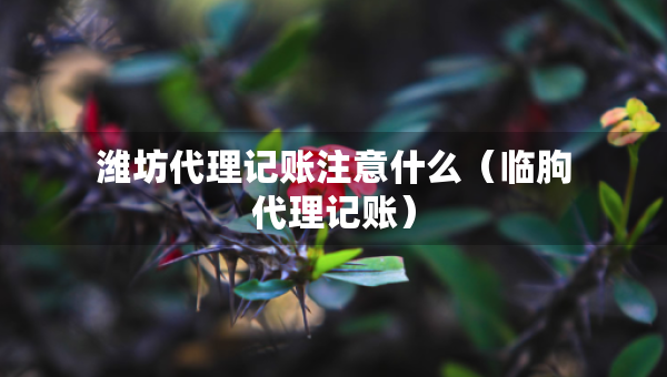 濰坊代理記賬注意什么（臨朐代理記賬）