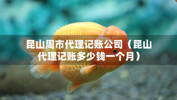 昆山周市代理記賬公司（昆山代理記賬多少錢一個月）