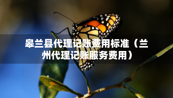 皋蘭縣代理記賬費(fèi)用標(biāo)準(zhǔn)（蘭州代理記賬服務(wù)費(fèi)用）