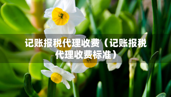 記賬報稅代理收費（記賬報稅代理收費標(biāo)準(zhǔn)）