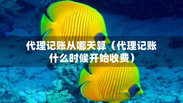 代理記賬從哪天算（代理記賬什么時(shí)候開始收費(fèi)）