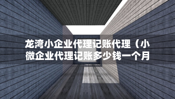 龍灣小企業(yè)代理記賬代理（小微企業(yè)代理記賬多少錢(qián)一個(gè)月）