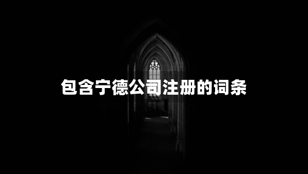 包含寧德公司注冊的詞條