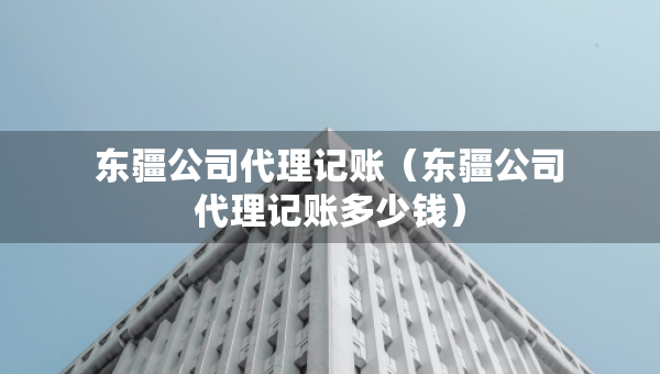 東疆公司代理記賬（東疆公司代理記賬多少錢）