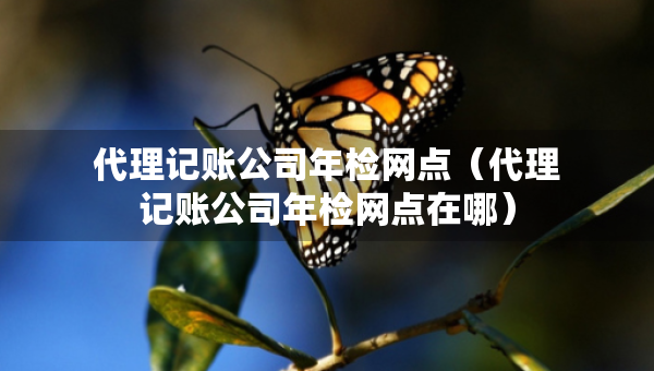 代理記賬公司年檢網(wǎng)點（代理記賬公司年檢網(wǎng)點在哪）