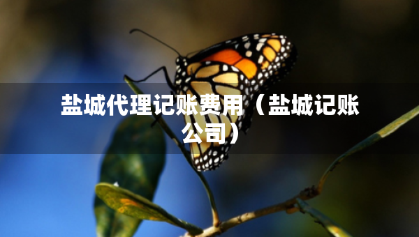 鹽城代理記賬費用（鹽城記賬公司）