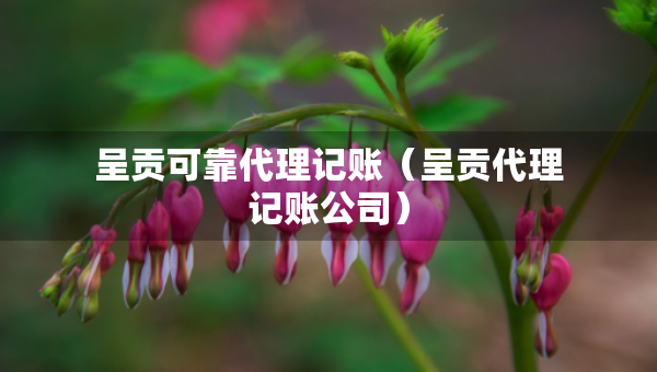 呈貢可靠代理記賬（呈貢代理記賬公司）