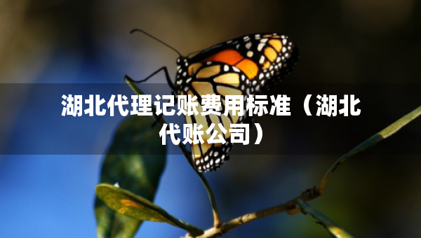 湖北代理記賬費(fèi)用標(biāo)準(zhǔn)（湖北代賬公司）