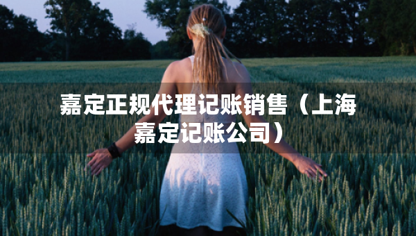 嘉定正規(guī)代理記賬銷售（上海嘉定記賬公司）