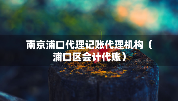 南京浦口代理記賬代理機(jī)構(gòu)（浦口區(qū)會(huì)計(jì)代賬）