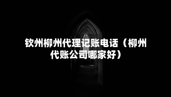 欽州柳州代理記賬電話（柳州代賬公司哪家好）